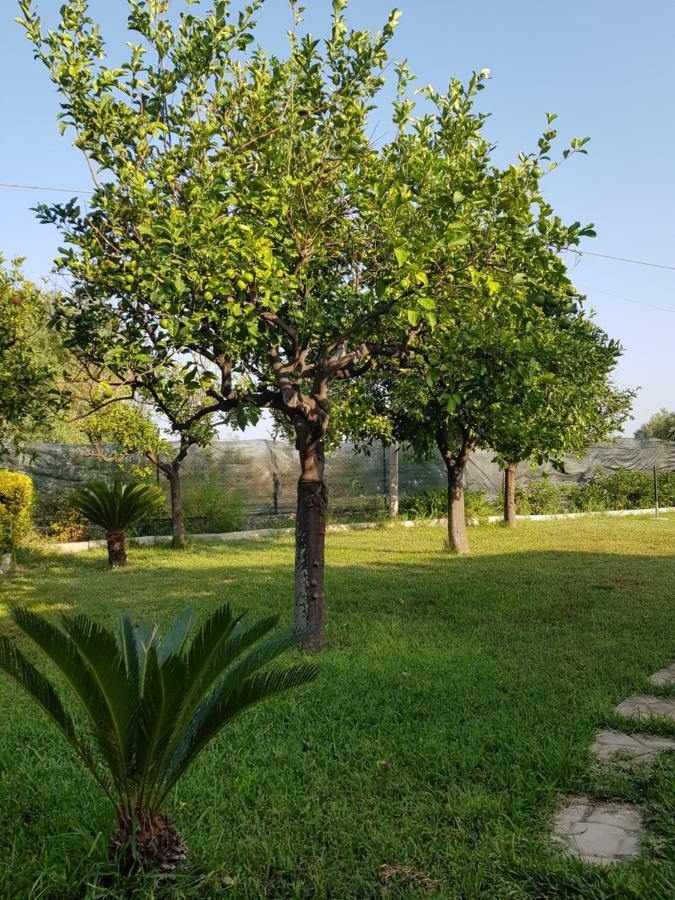 Casa Vacanza Le Tre Palme Apartment Floridia Luaran gambar
